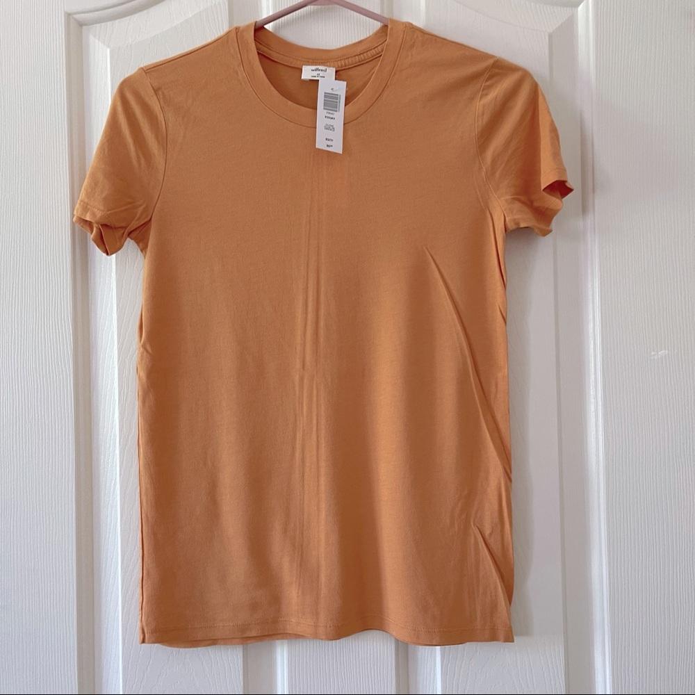 Aritzia Essay Tshirt